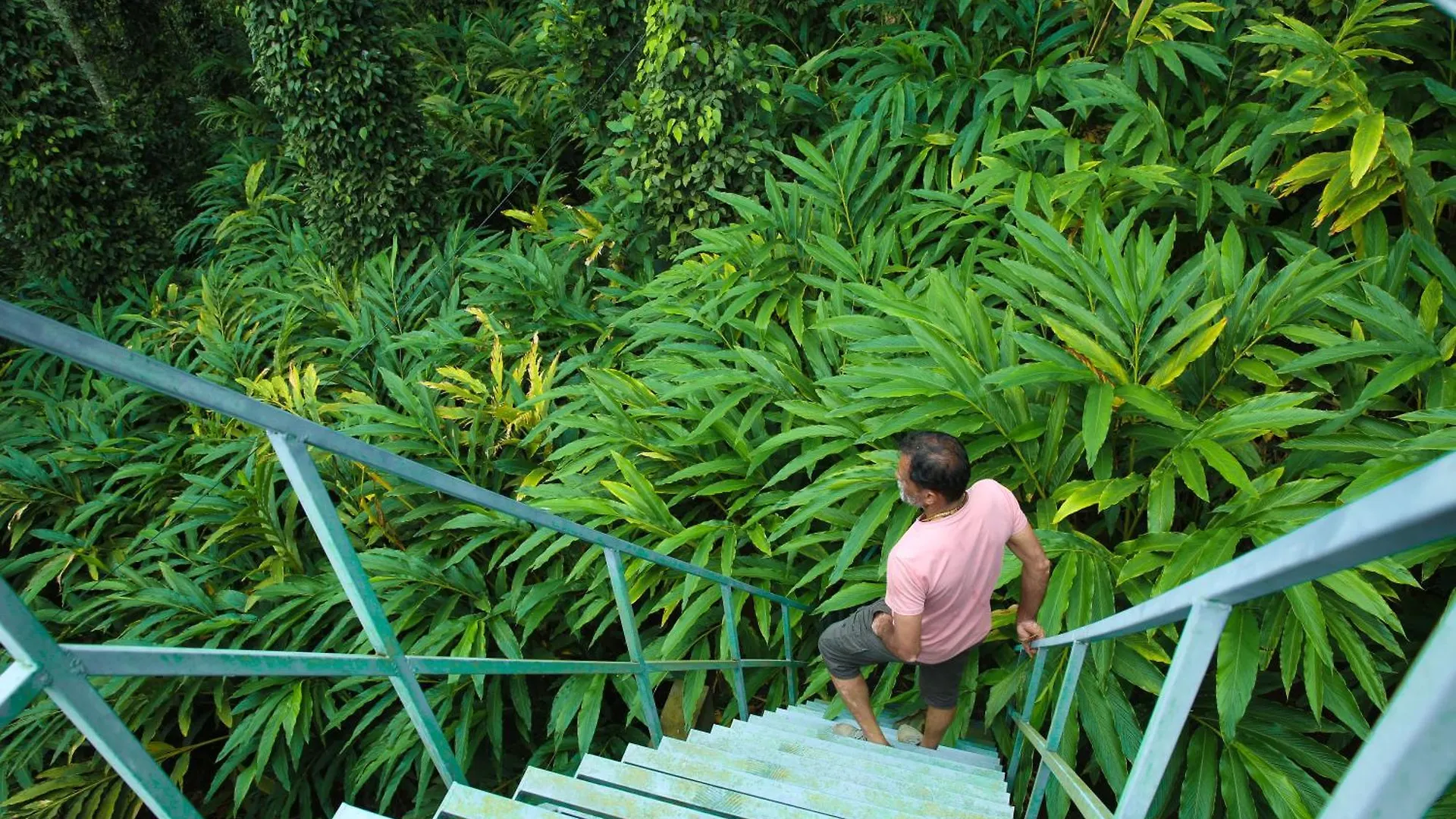 Periyar Homes Thekkady 0*,