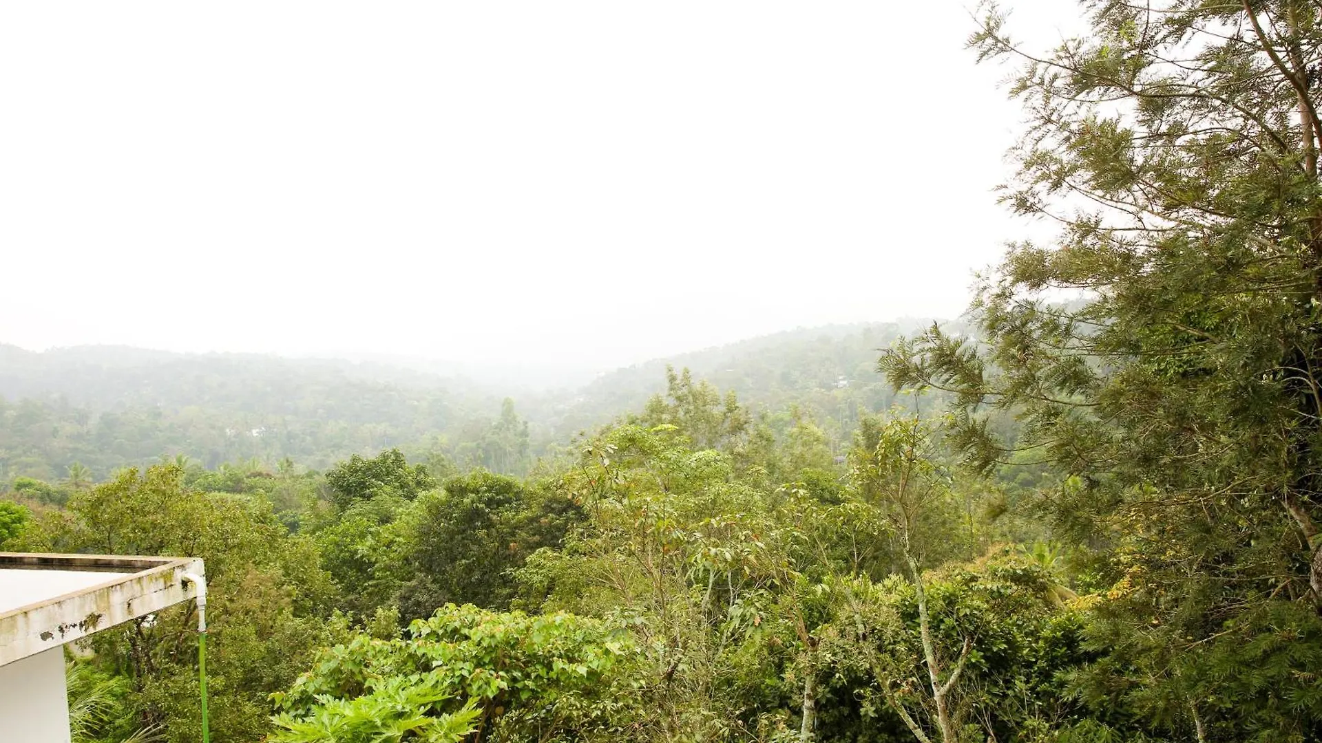 Periyar Homes Thekkady Holiday home