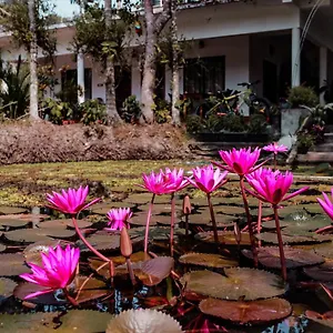 Homestay Marari Ebin Charlys, Mararikulam